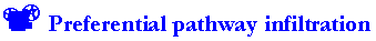 <center><b>Preferential pathway infiltration</b></center>