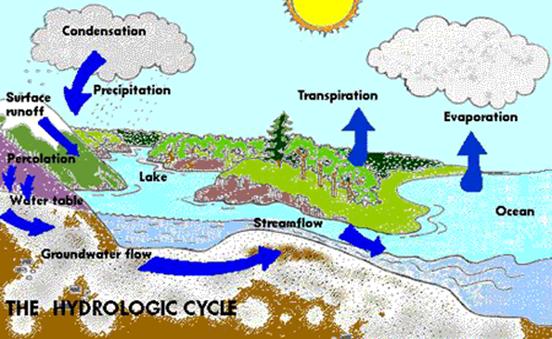 The hydrologic cycle - 46KB